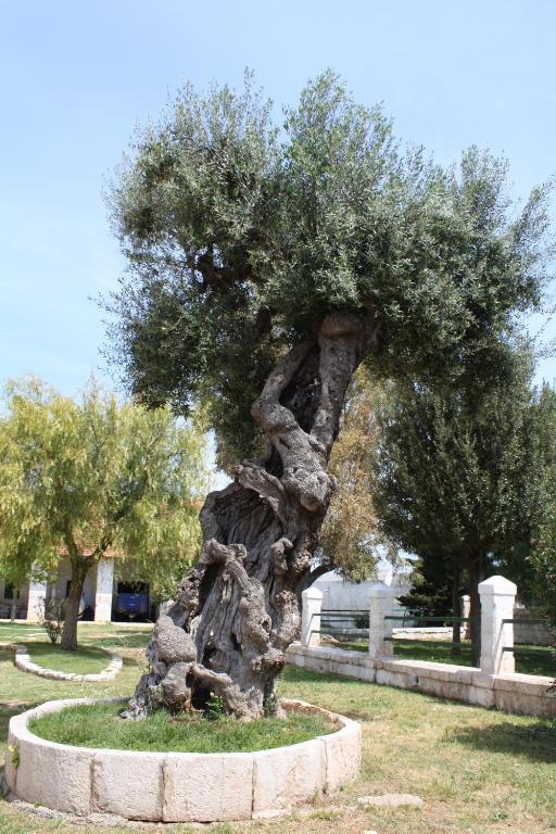Masseria Maccarone Фазано Екстер'єр фото