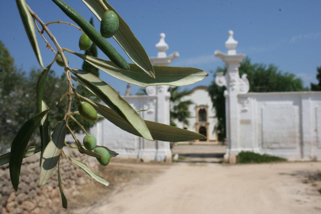 Masseria Maccarone Фазано Екстер'єр фото